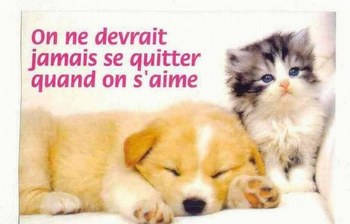 trop mimj