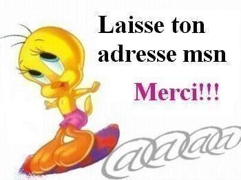 laisse la tienne please